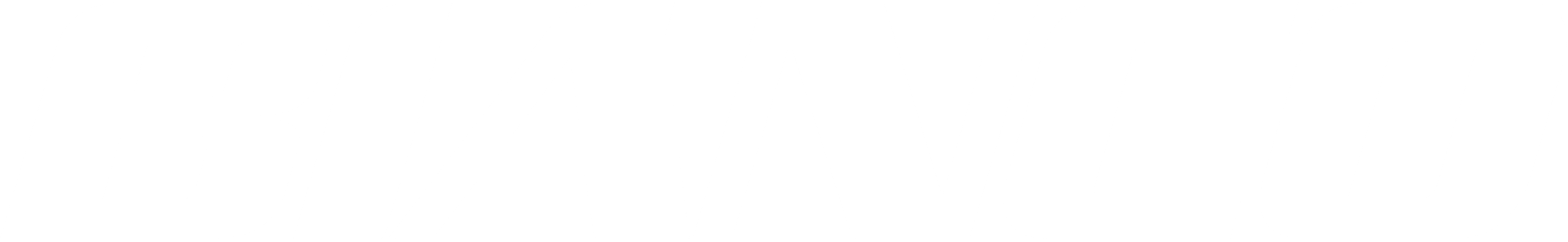 Avada SEO